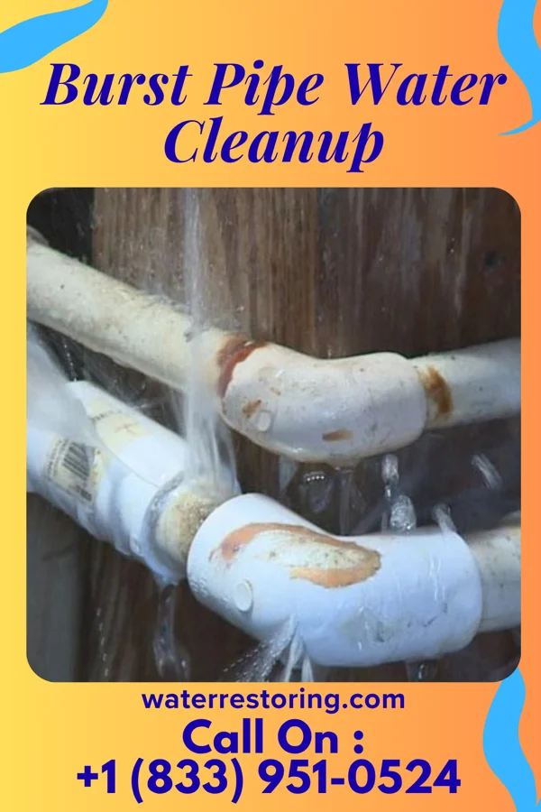 Burst Pipe Water Cleanup in Lake City, PA