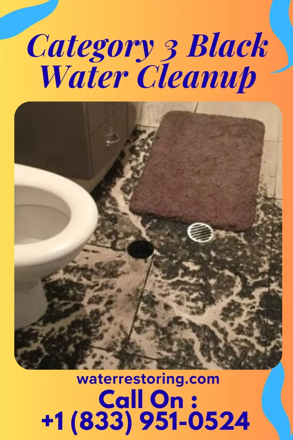 Category 3 Black Water Cleanup in Lake City, PA