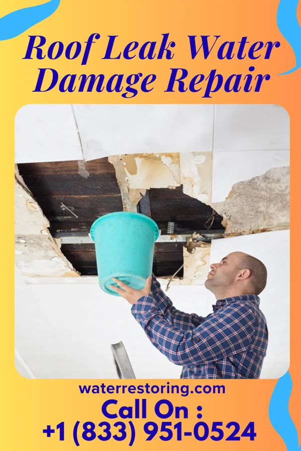 Roof Leak Water Damage Repair in Lake City, PA