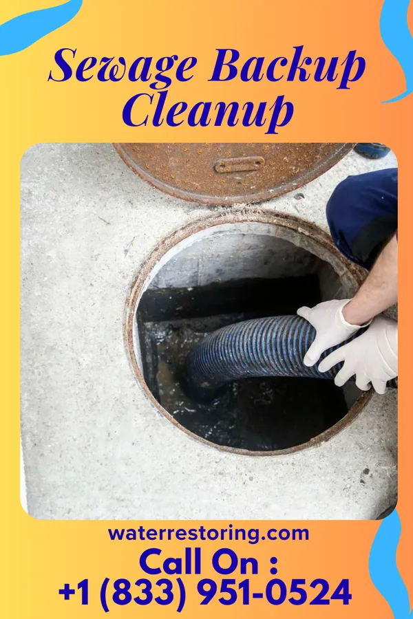 Sewage Backup Cleanup in Lake City, PA
