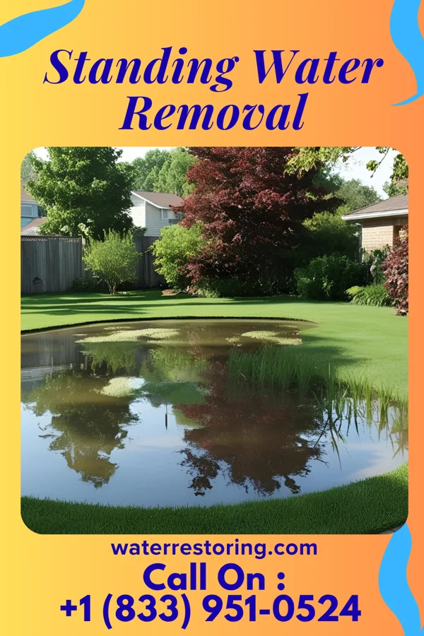 Standing Water Removal in Lake City, PA